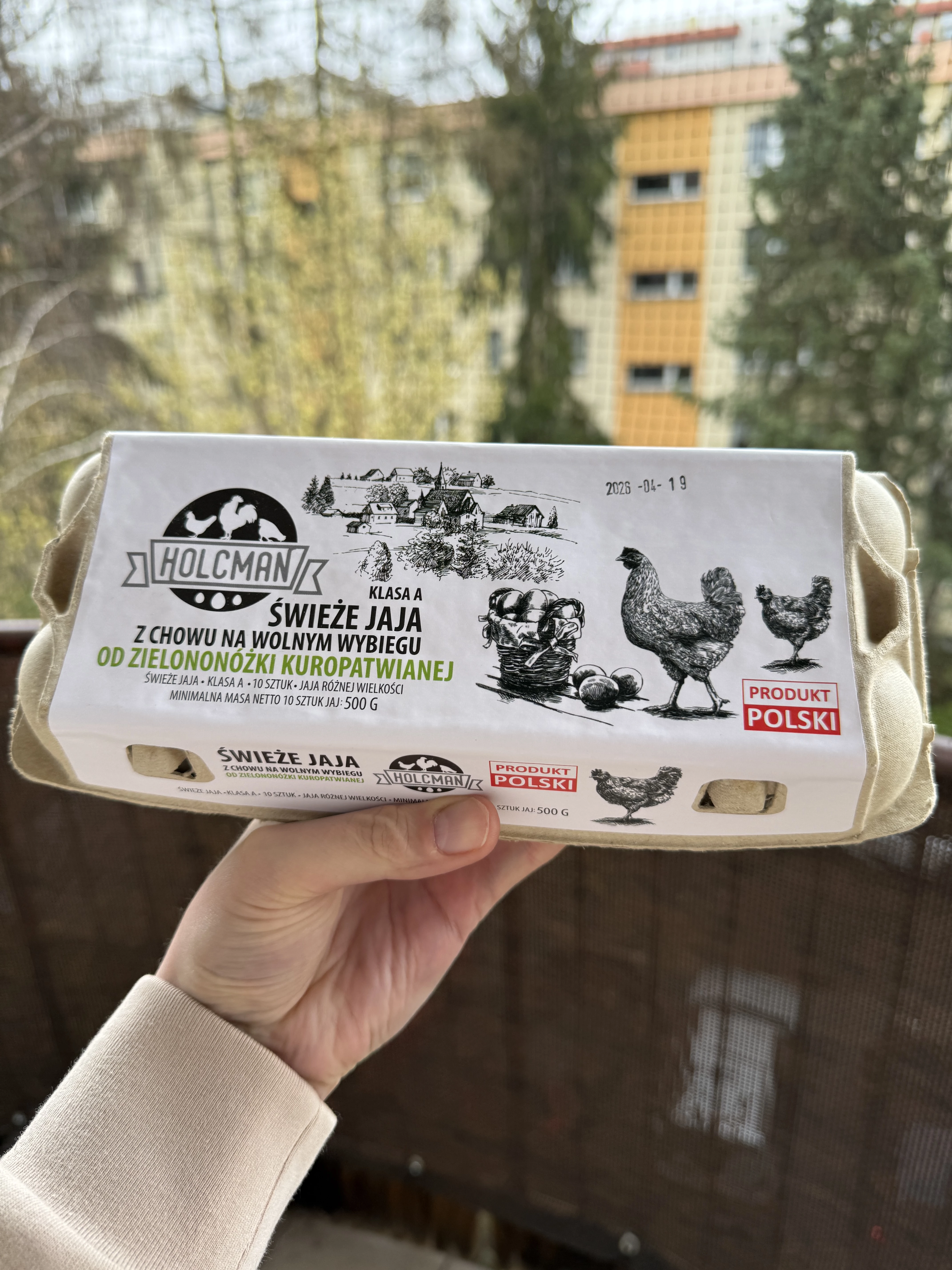 Holcman jaja z wolnego wybiegu od zielononóżki kuropatwianej / 10 sztuk | 500g