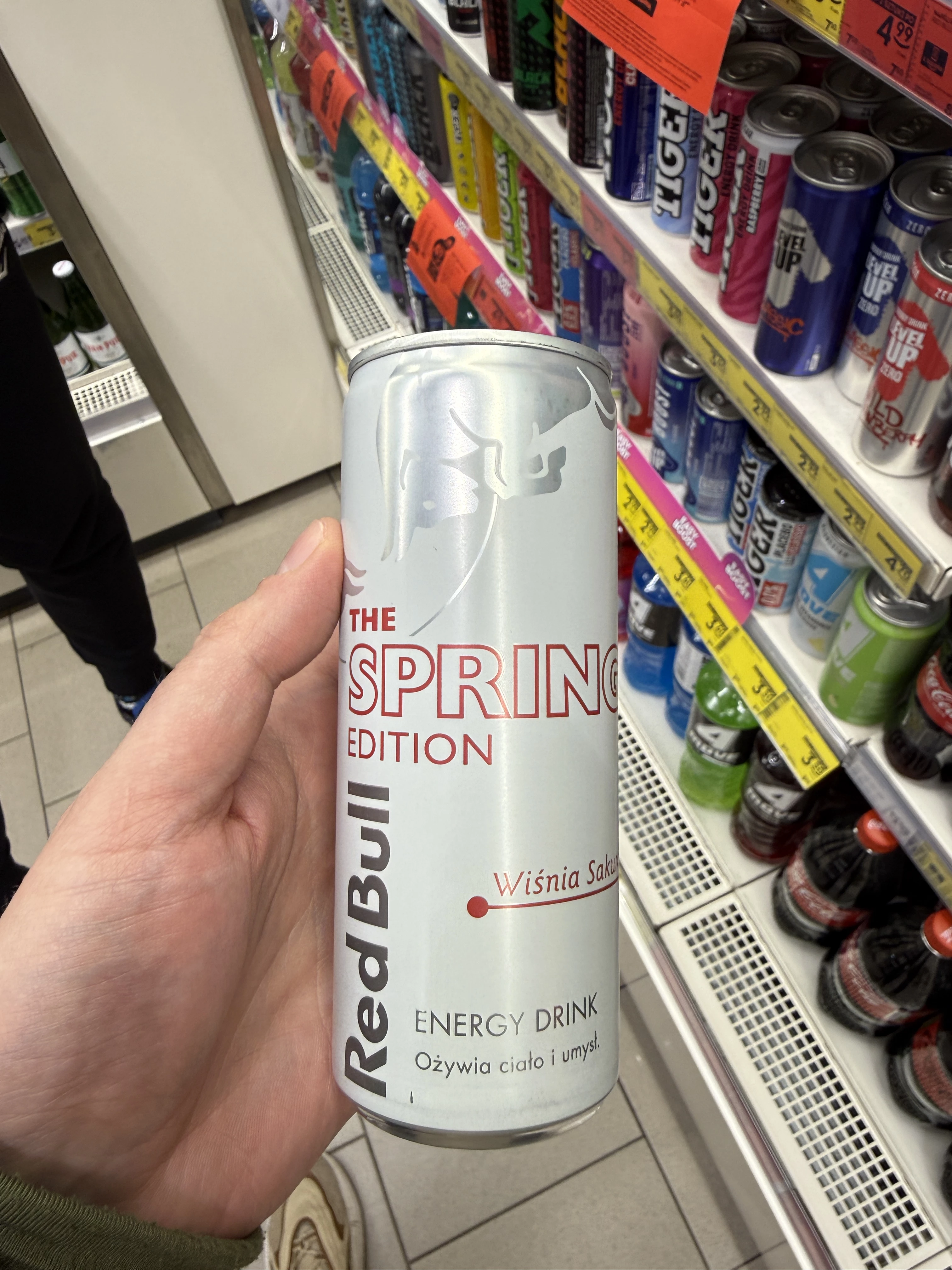 Red Bull The Spring Edition Cherry Sakura / Wiśnia Sakura | 250ml