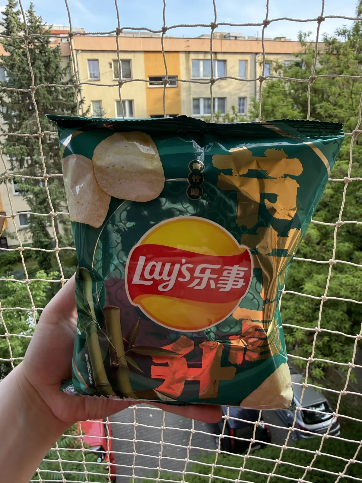 Lay’s Green Bamboo / Bamboo Shoot (青竹味) | 56g