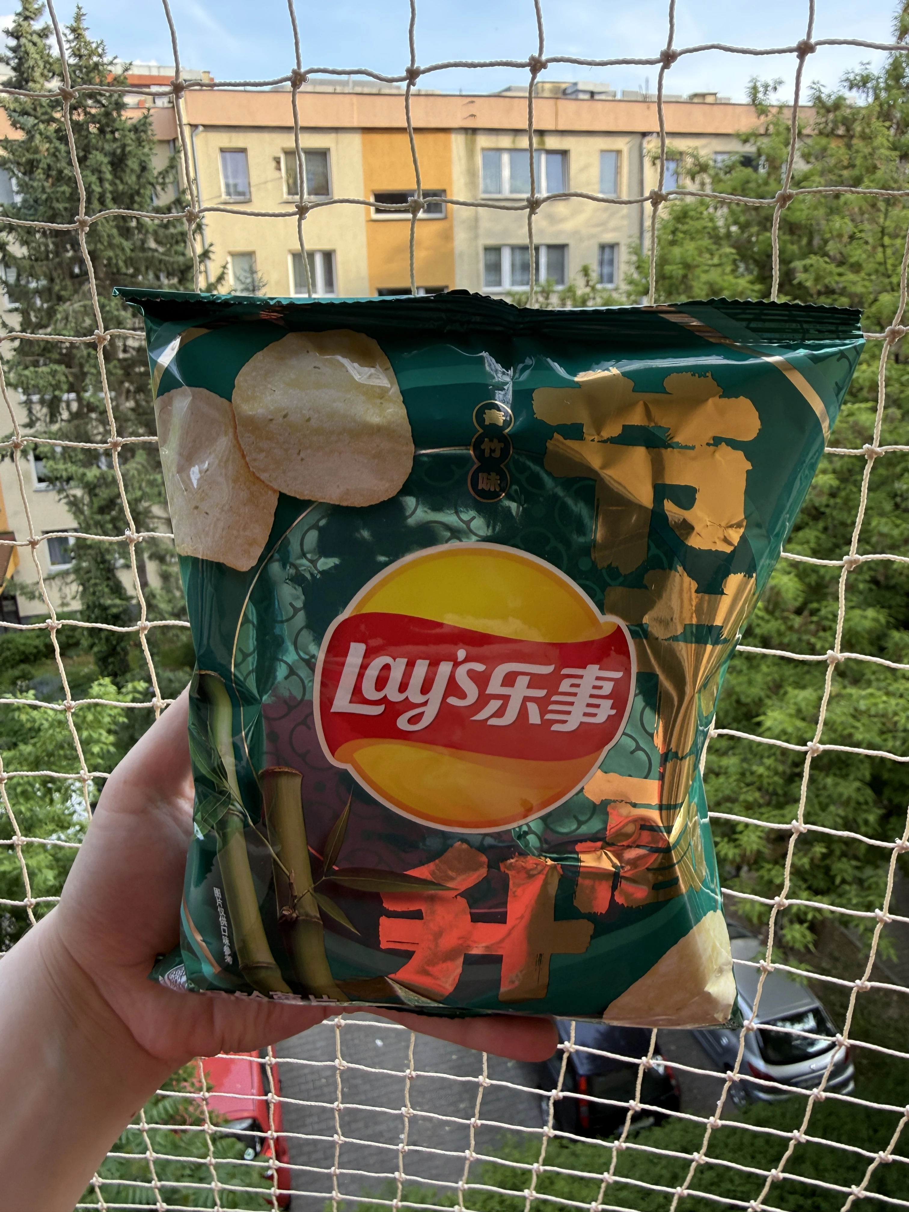 Lay’s Green Bamboo / Bamboo Shoot (青竹味) | 56g