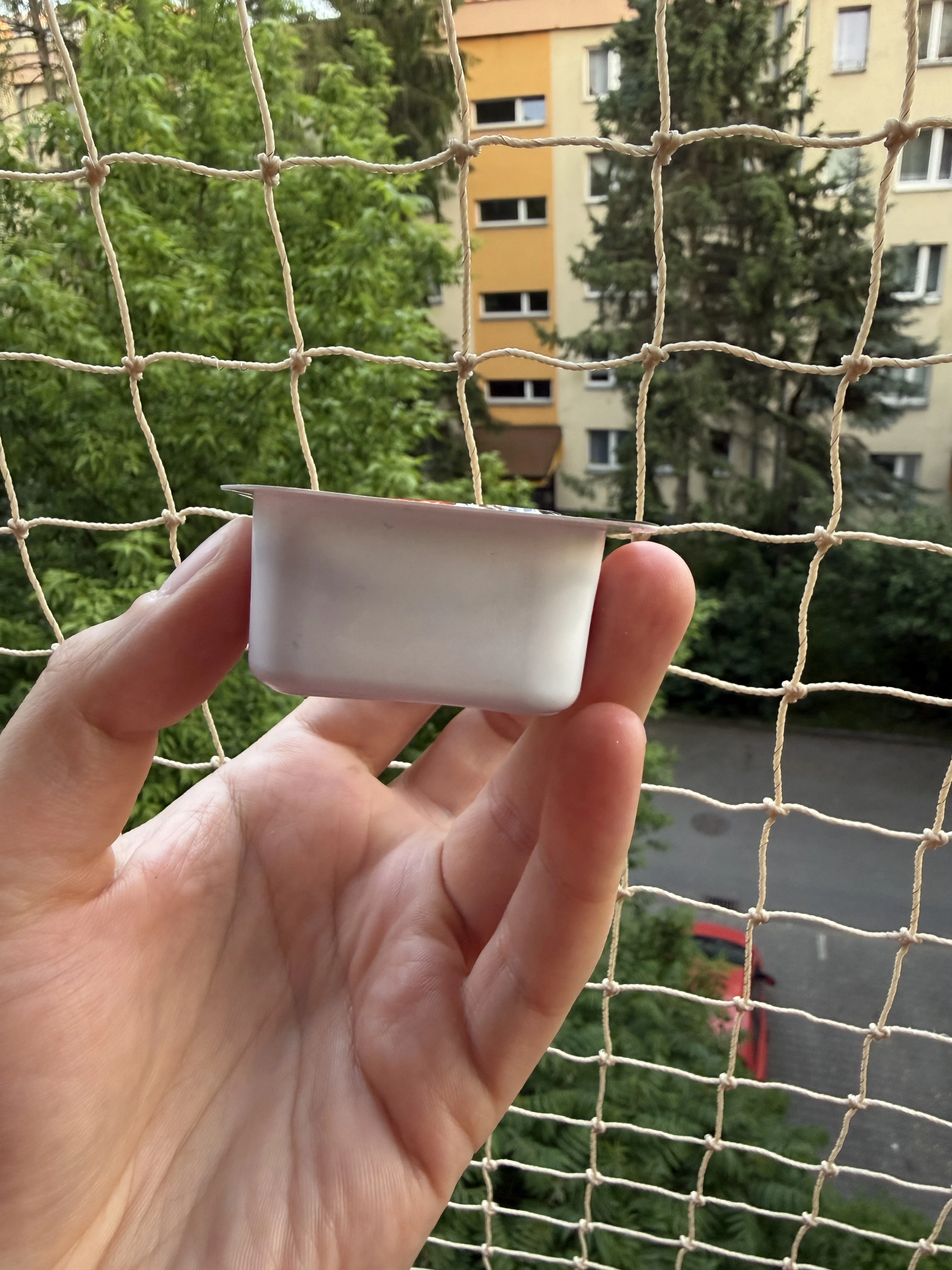 IMG_5225.JPEG