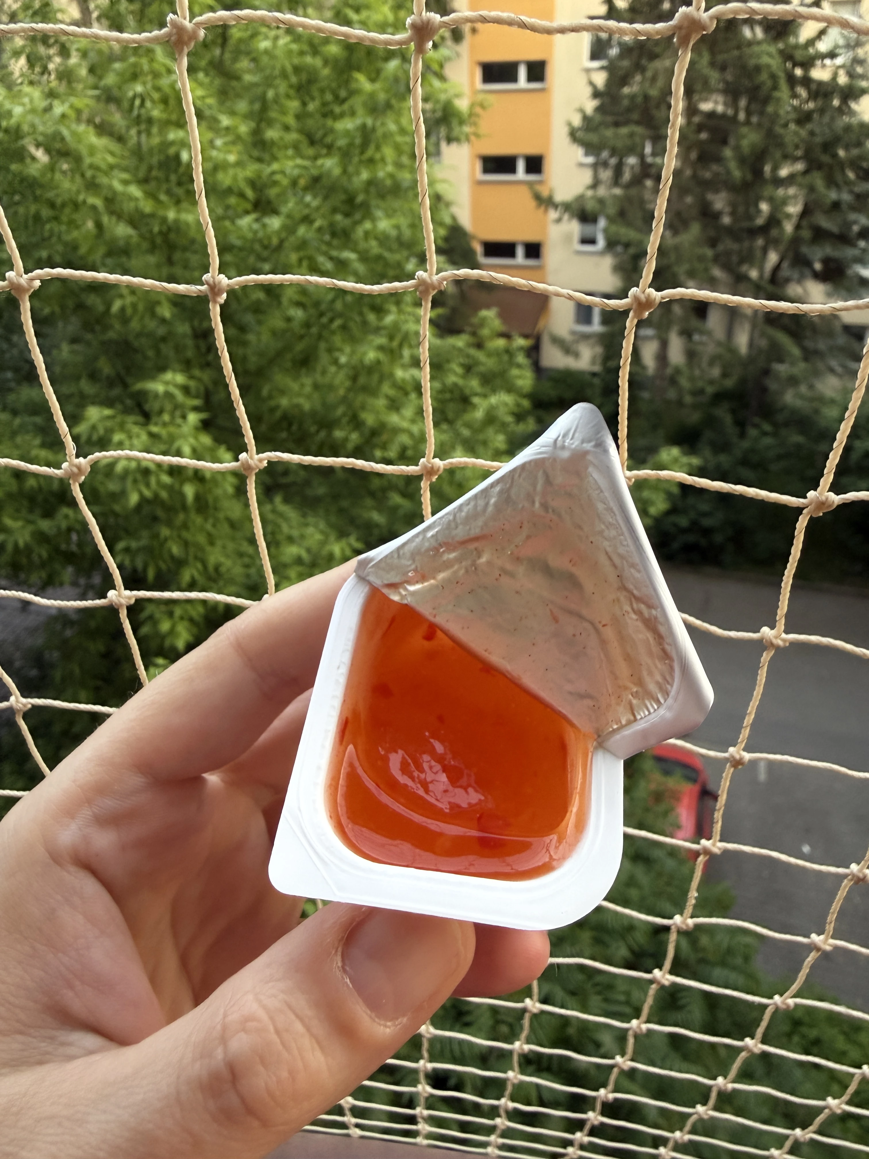 IMG_5231.JPEG