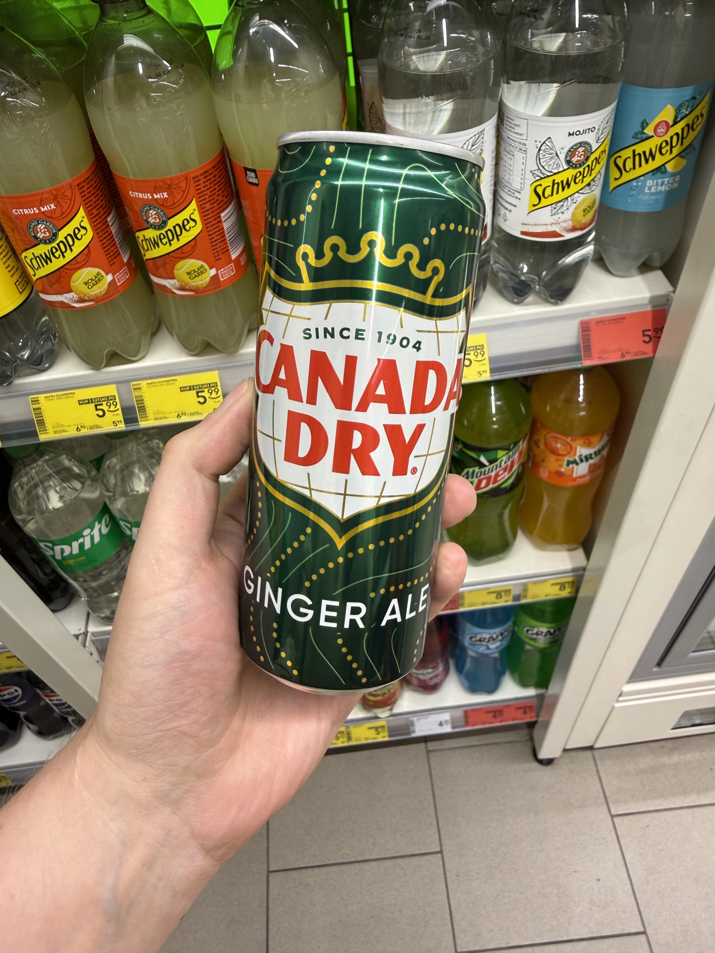 Canada Dry Ginger Ale | 330ml