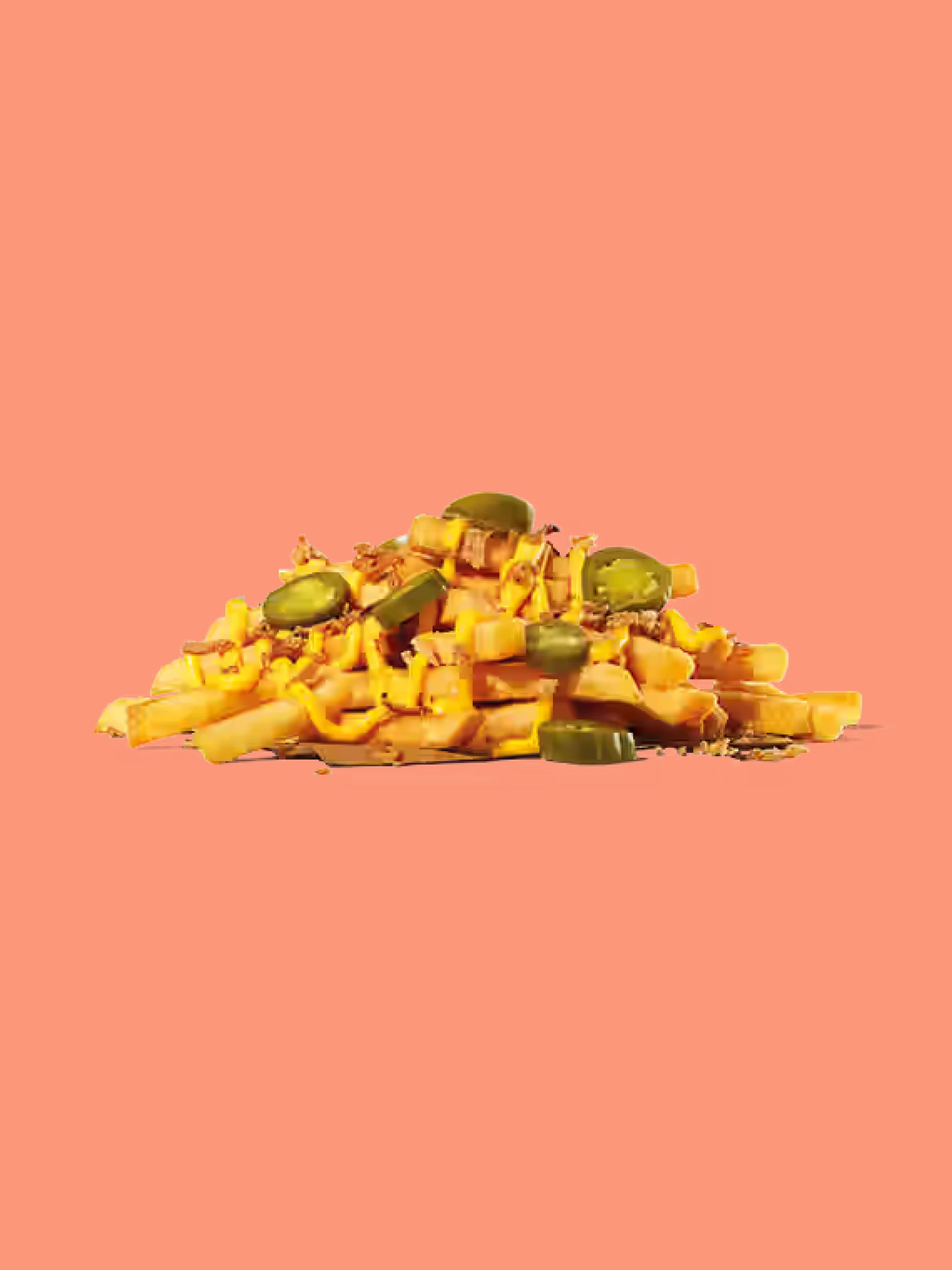 Chilli Cheese Loaded Fries