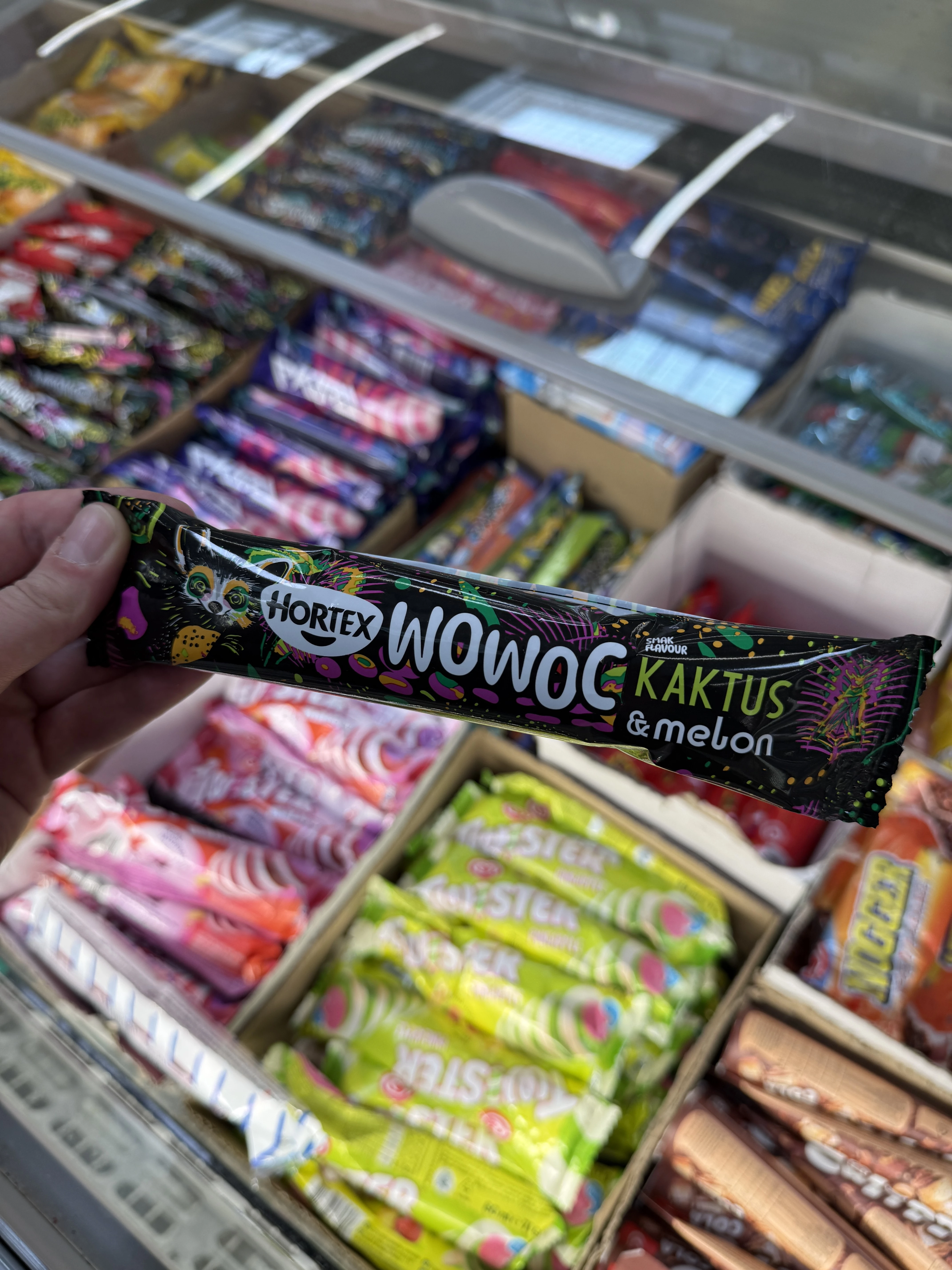 Hortex WoWoc lody sorbetowe jabłkowe o smaku kaktus & melon | 50ml