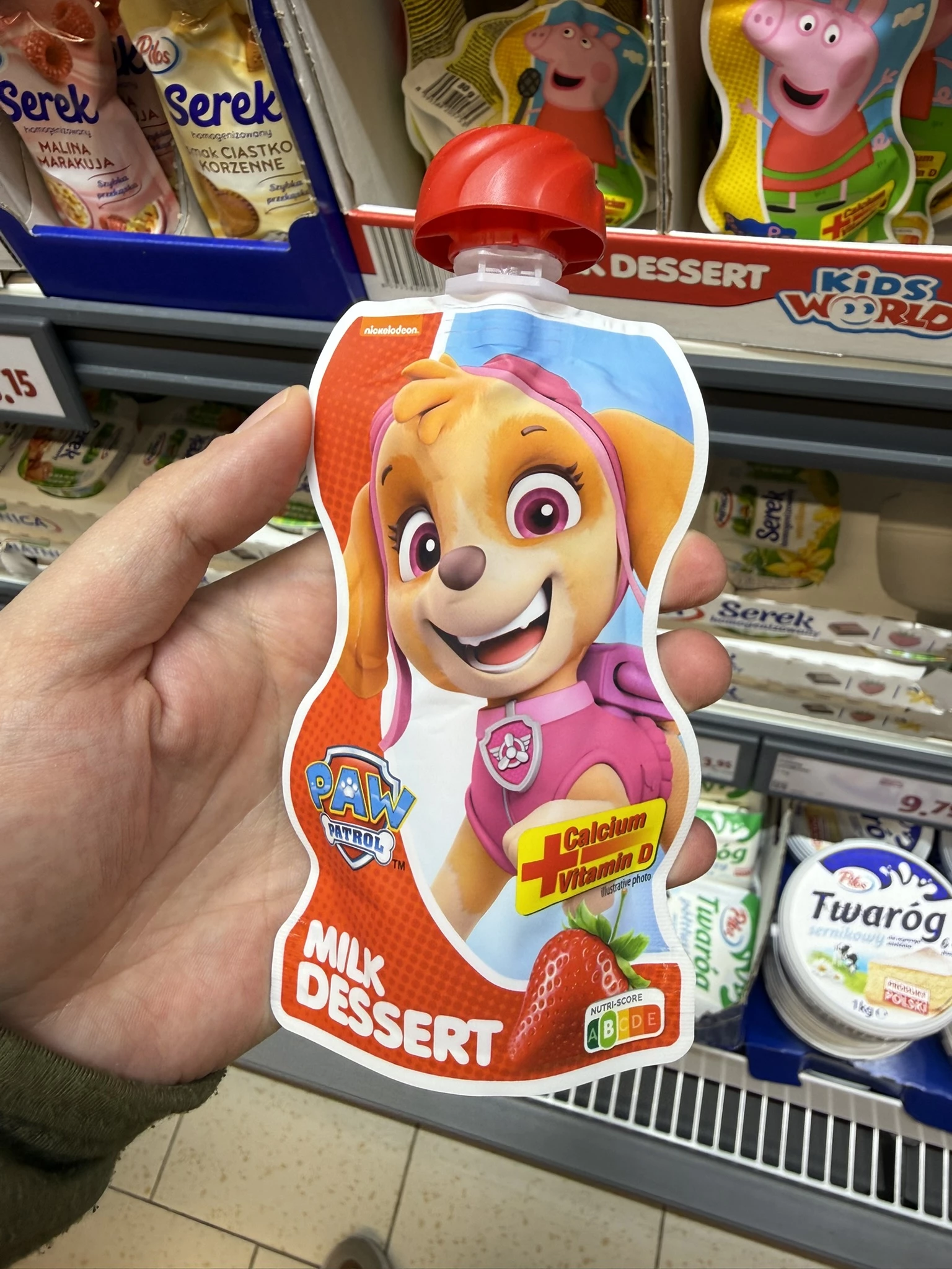 Paw Patrol Milk Dessert Dairy4fun (Skye) | 80g