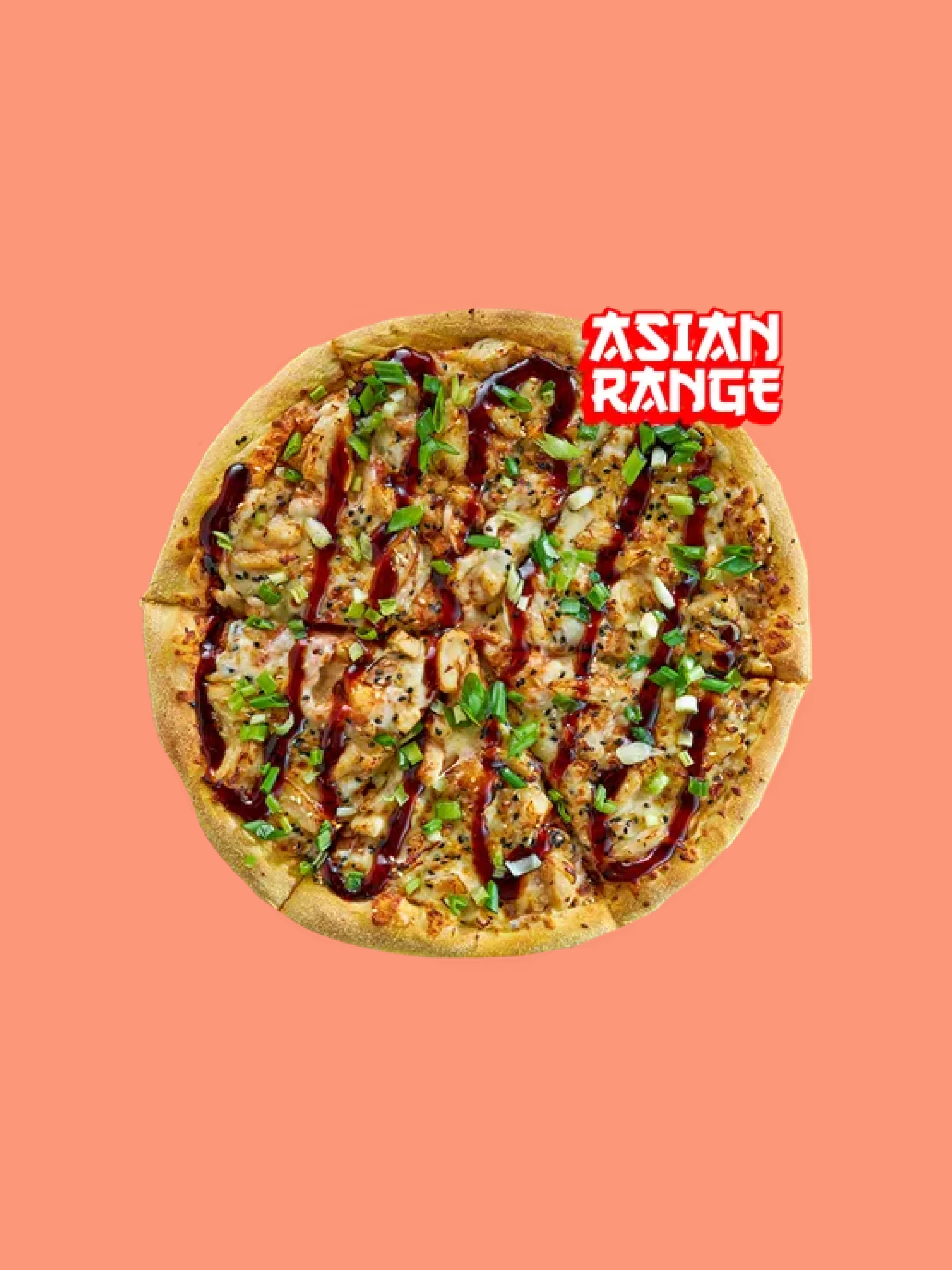 Teriyaki Chicken