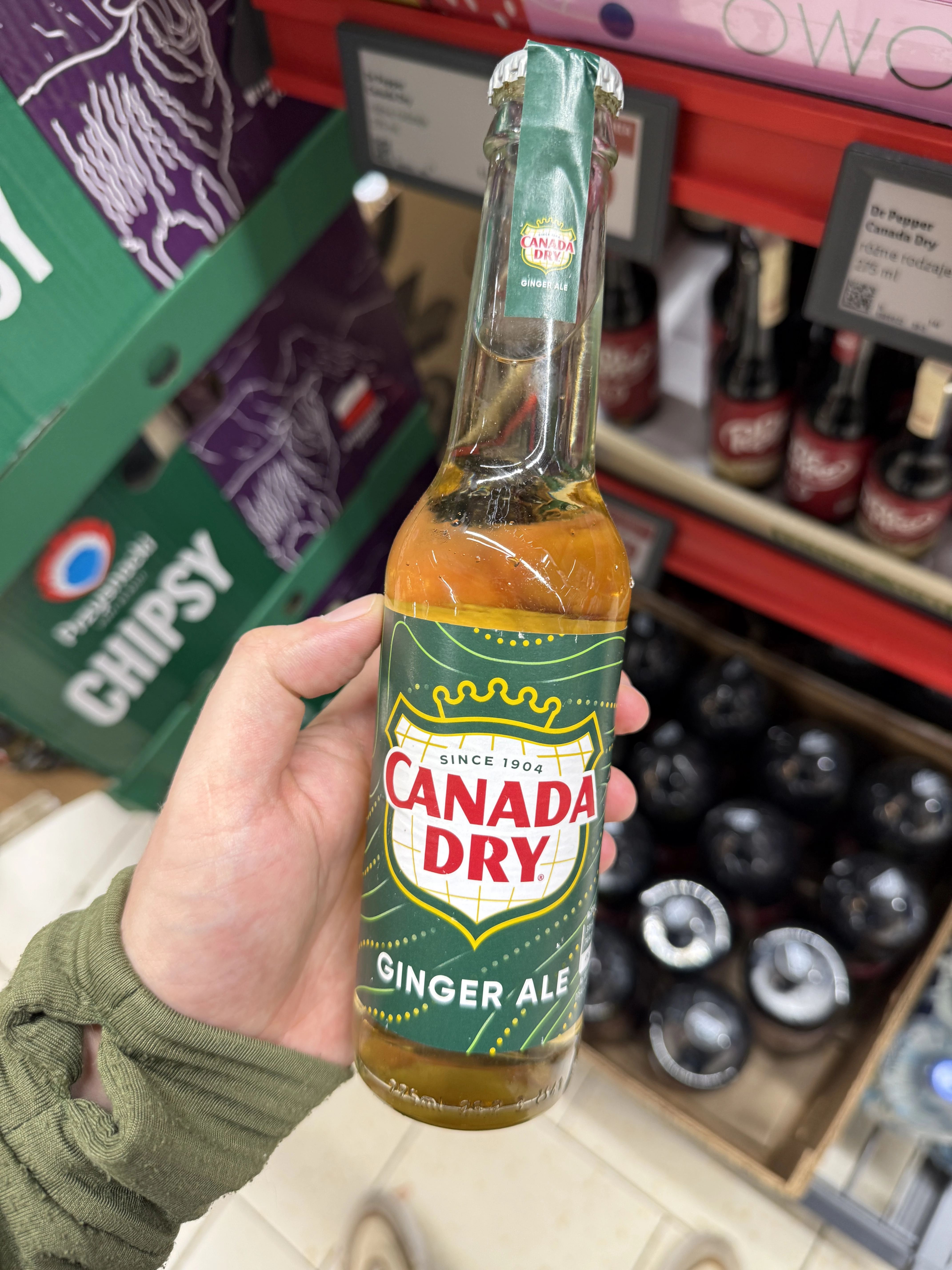 Canada Dry Ginger Ale | 275ml