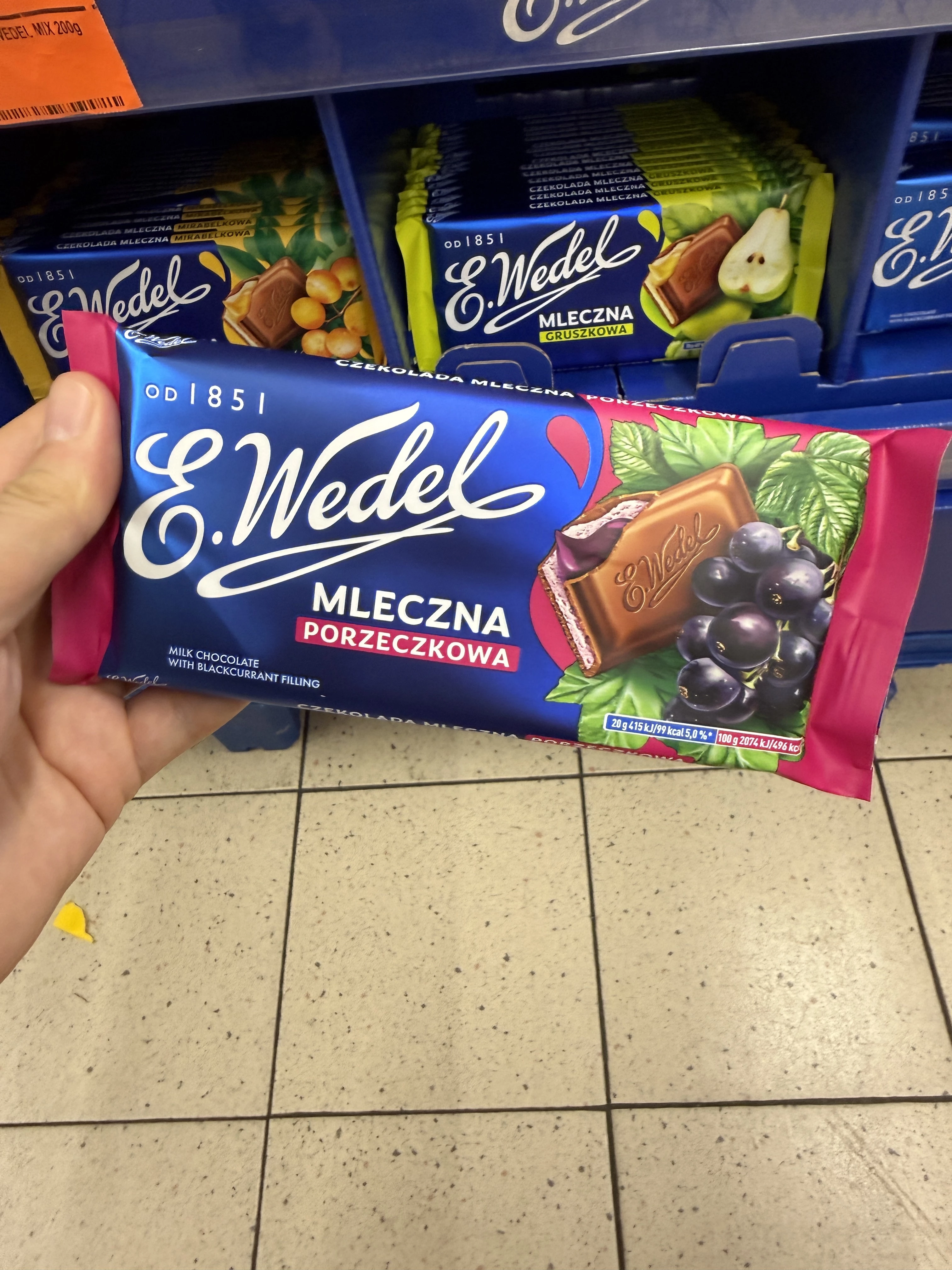 E.Wedel Czekolada Mleczna Porzeczkowa | 100g