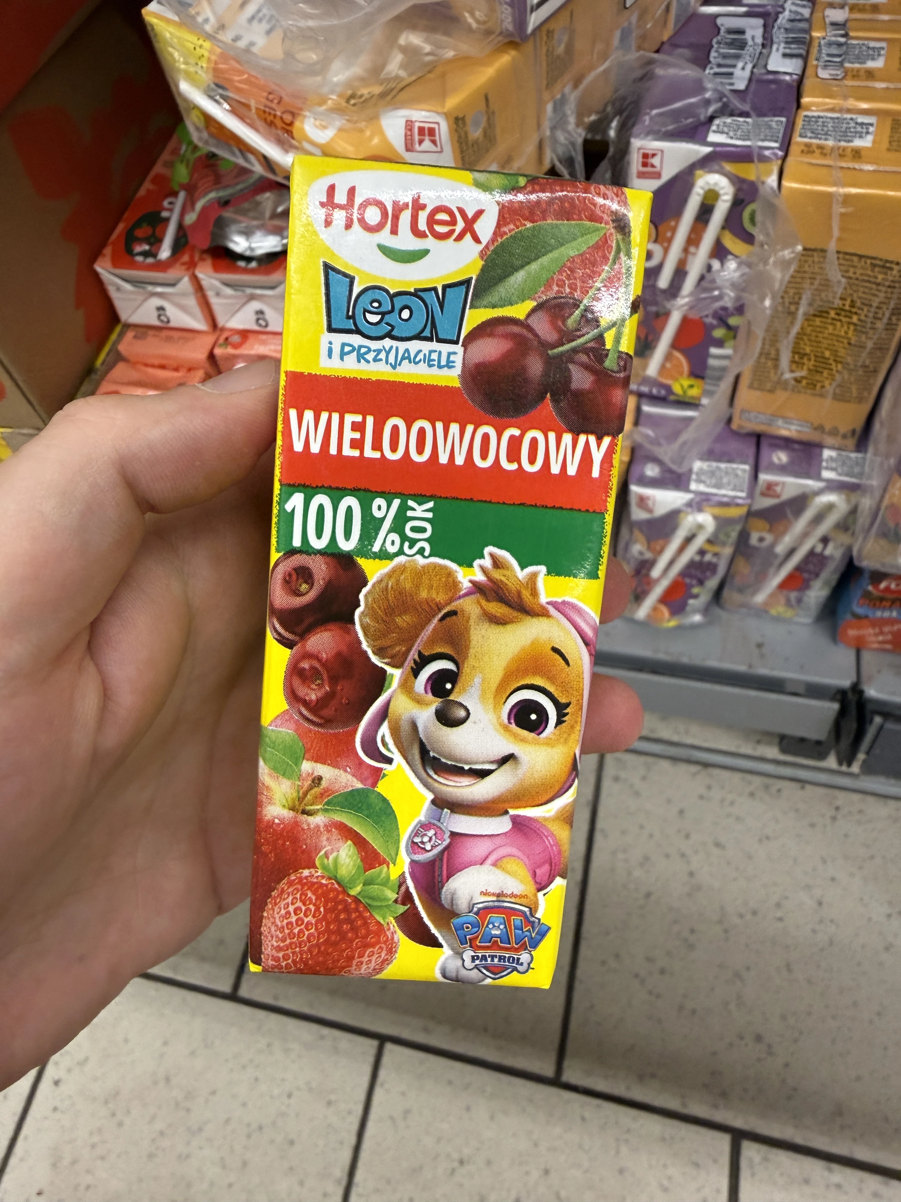Hortex Leon Sok 100% wieloowocowy | 200ml
