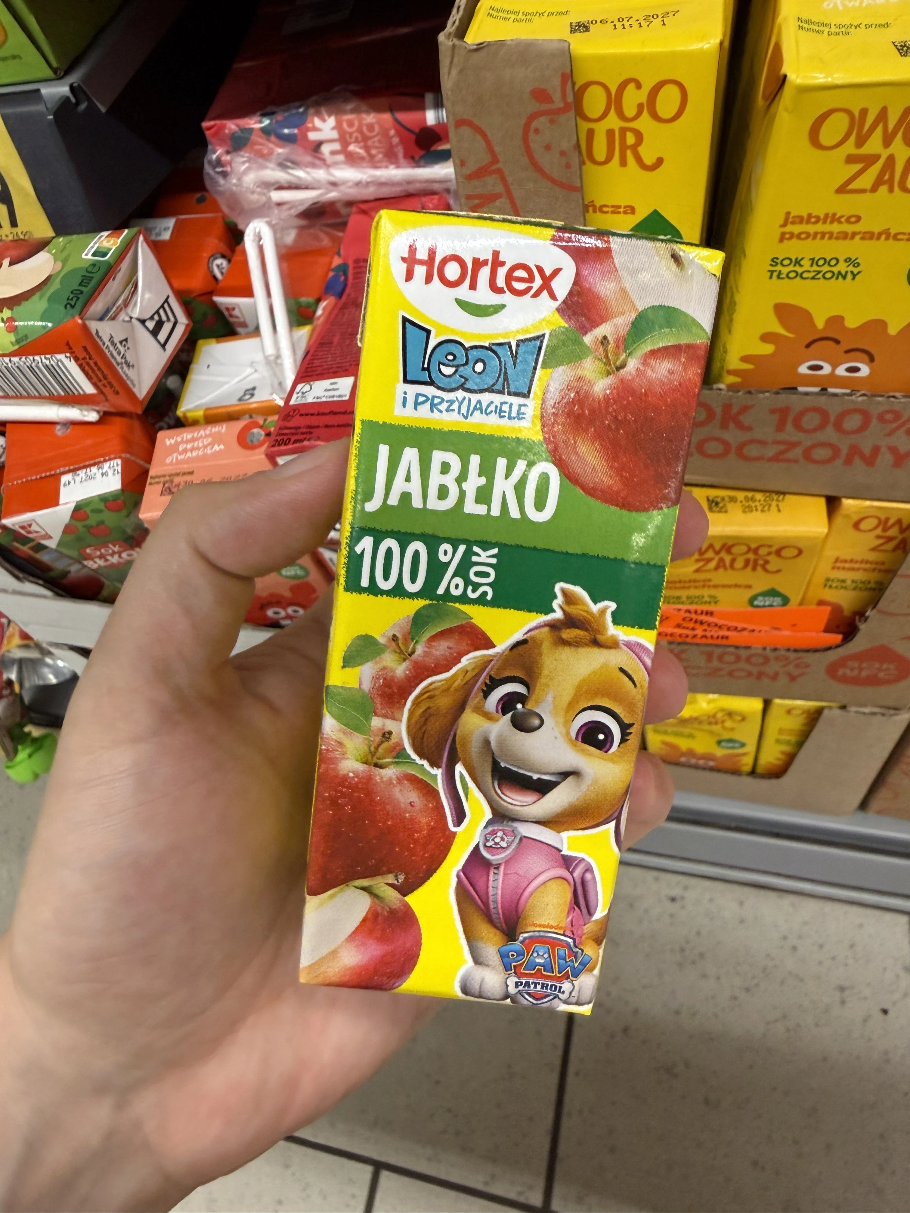 Hortex Leon i Przyjaciele Sok Jabłkowy 100% | 200ml