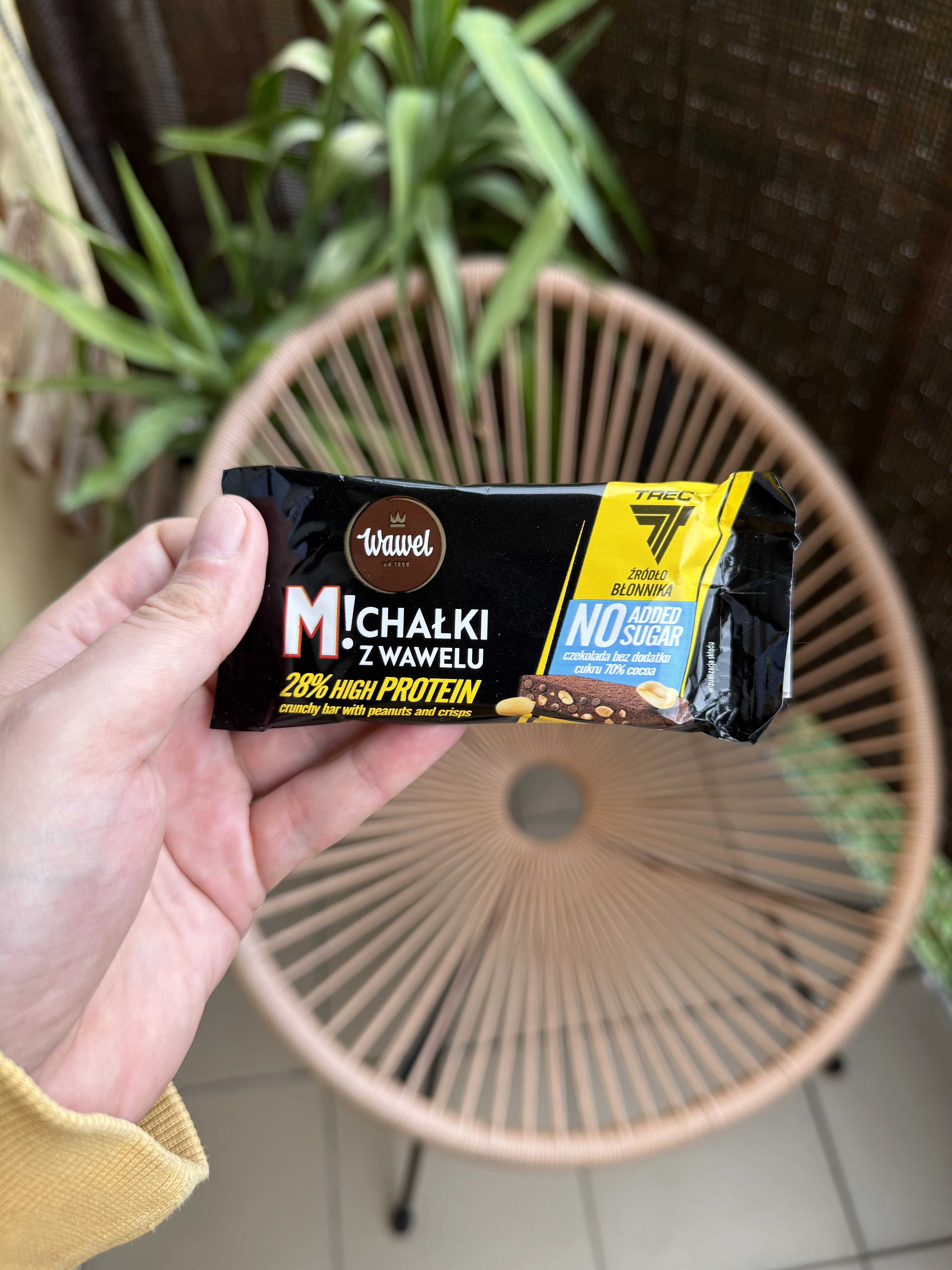 Michałki z Wawelu High Protein Bez Dodatku Cukru | 40g