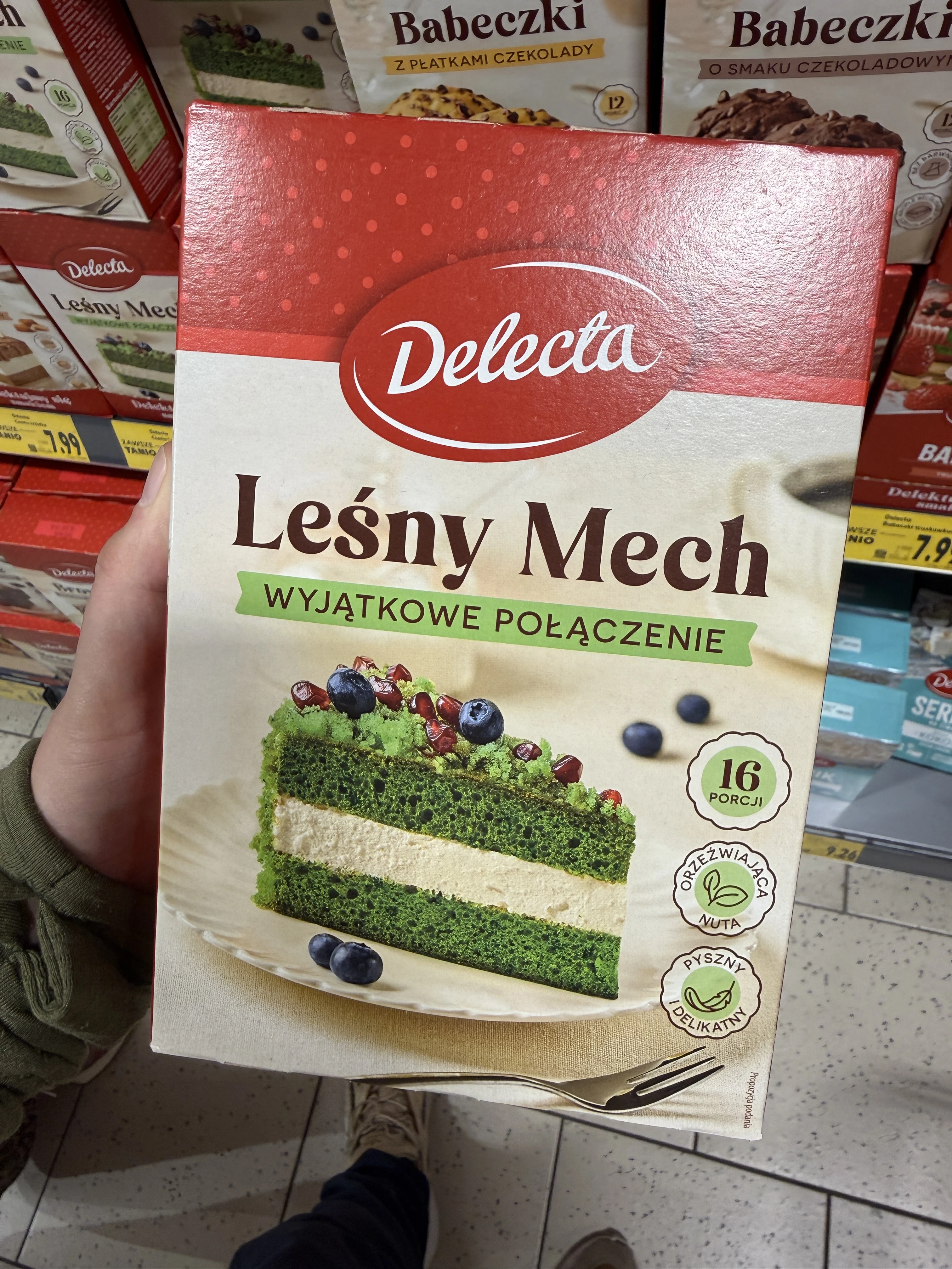 Delecta Ciasto Leśny Mech | 410g