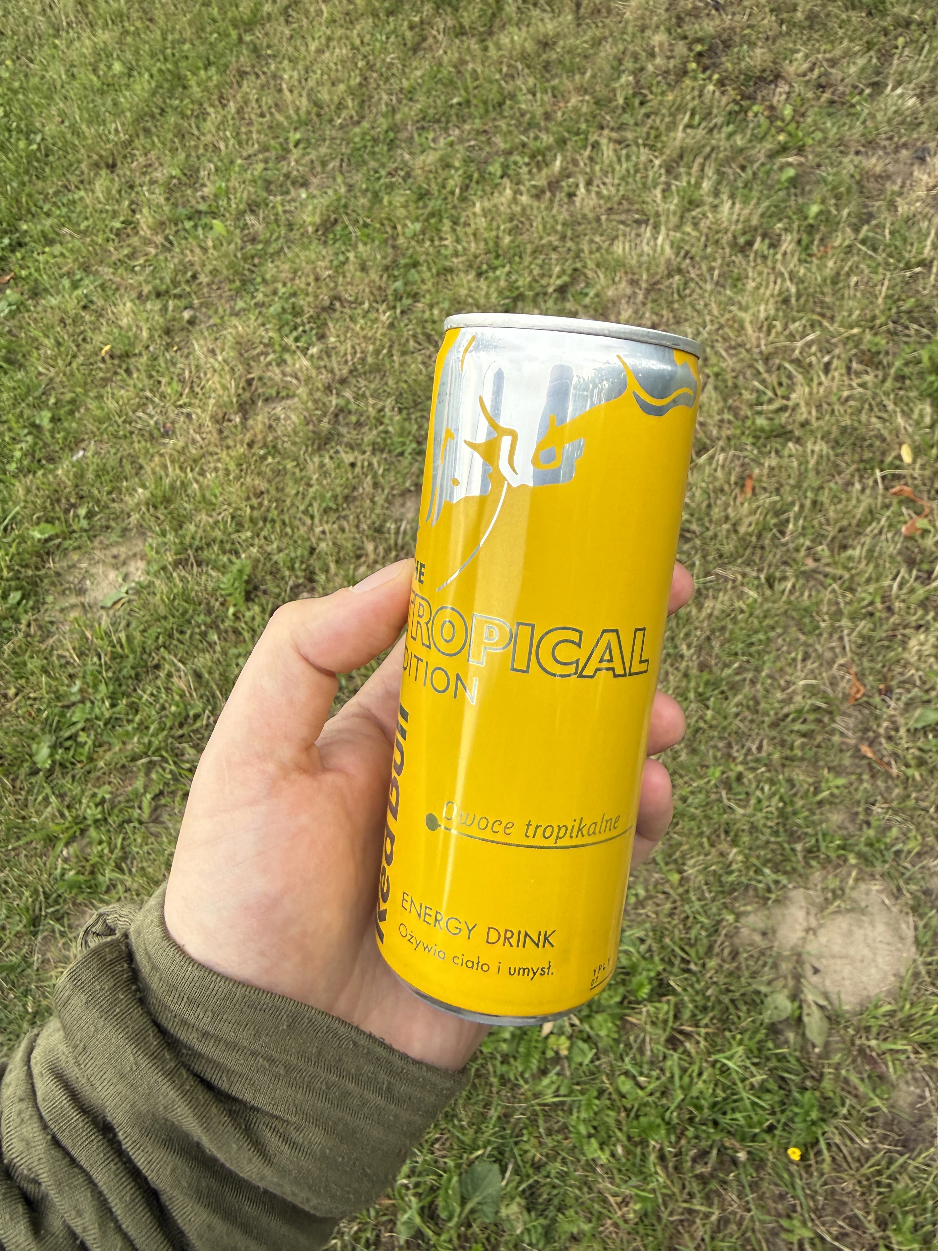 Red Bull The Tropical Edition Owoce tropikalne | 250ml
