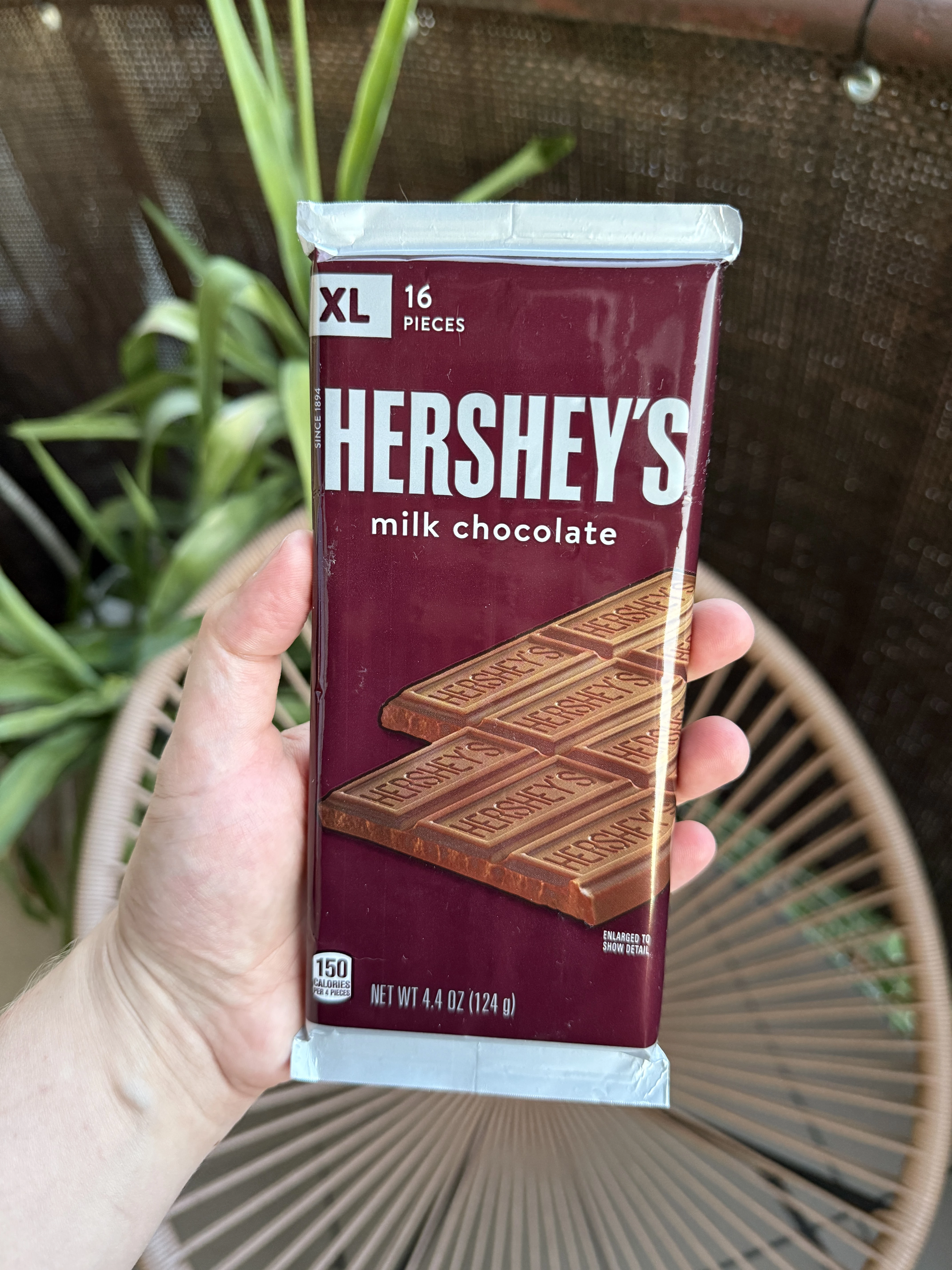 Hershey’s Milk Chocolate XL Candy Bar | 124g
