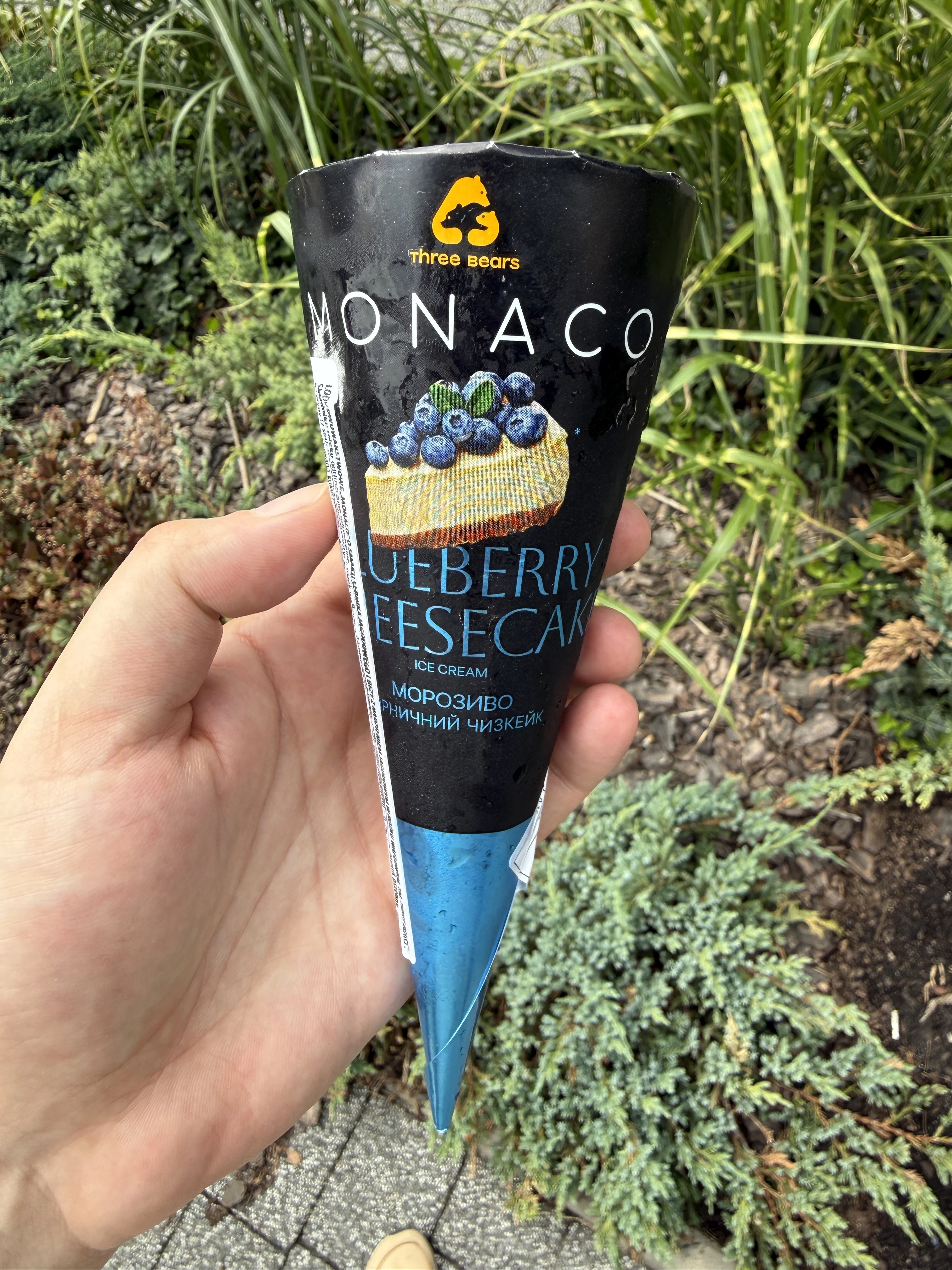 Monaco Blueberry Cheesecake Ice Cream / Lody śmietankowe Monaco o smaku sernika jagodowego | 100g