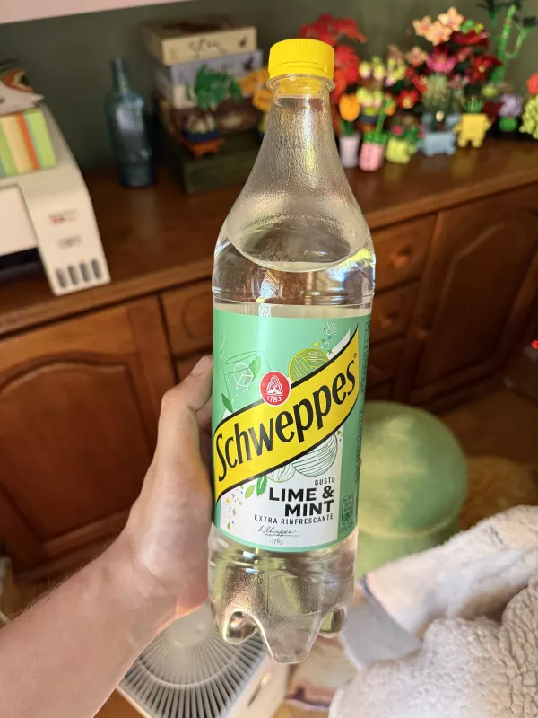 Schweppes Gusto Lime & Mint | 1000ml