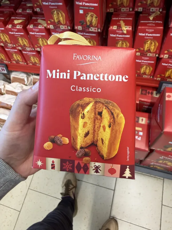 Favorina Mini Panettone Classico | 100g