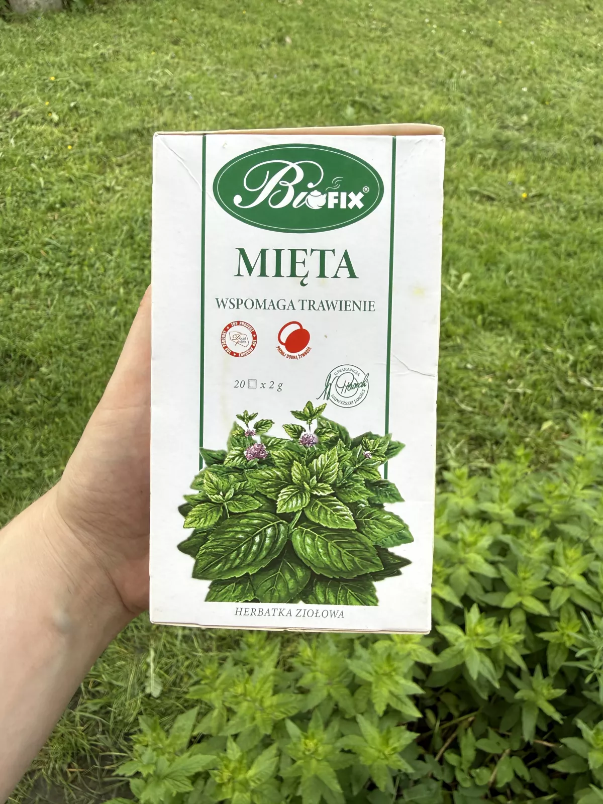 Bifix Mięta herbatka ziołowa ekspresowa | 40g