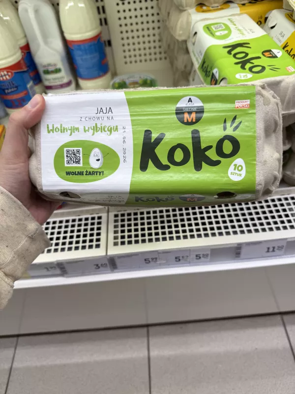 Koko Jaja z chowu na wolnym wybiegu M 10 sztuk