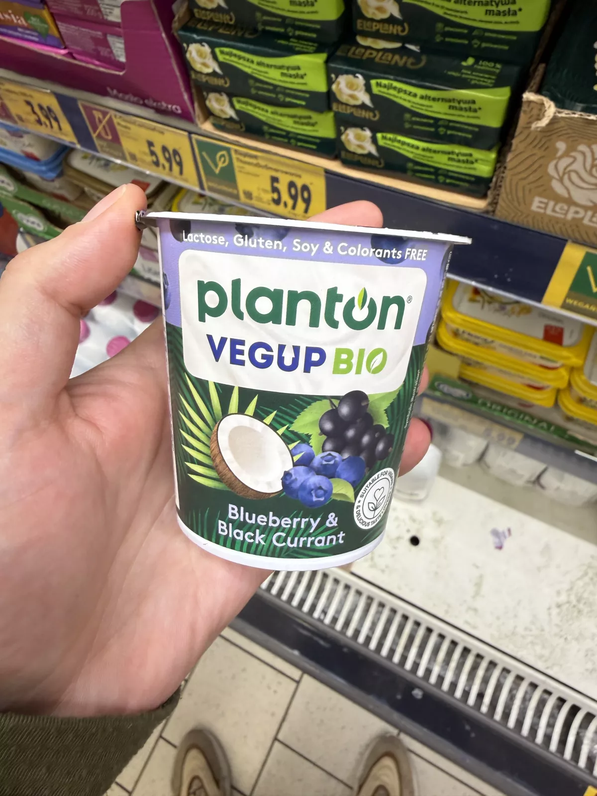 Planton Vegup Bio Blueberry & Black Currant | 140g