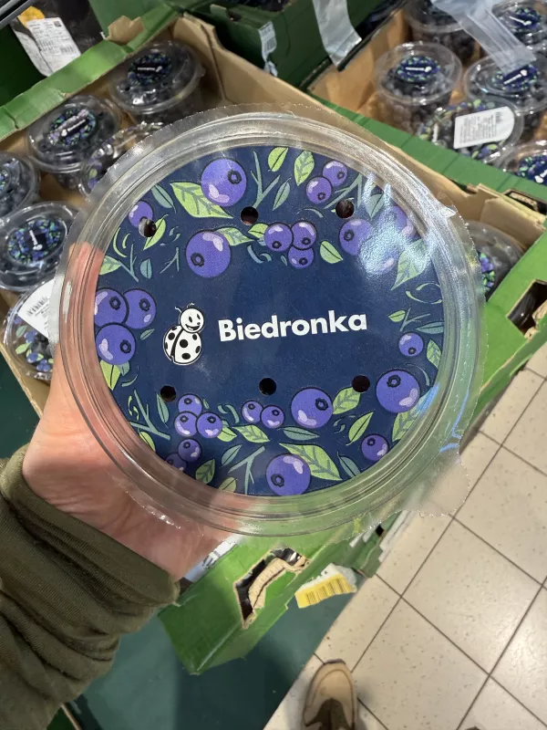 Borówka amerykańska Ventura Biedronka | 300g