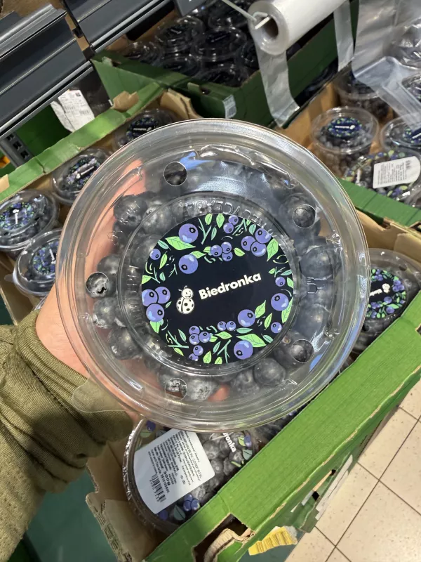 Borówka amerykańska Masena Biedronka | 300g